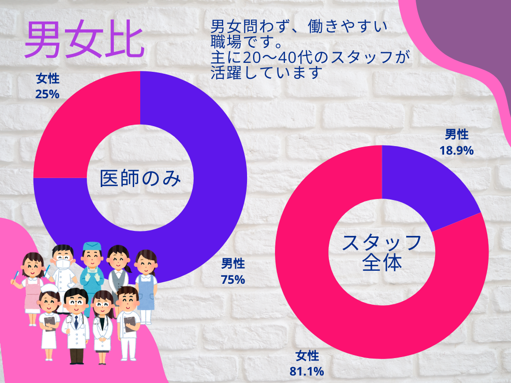 スタッフの男女比