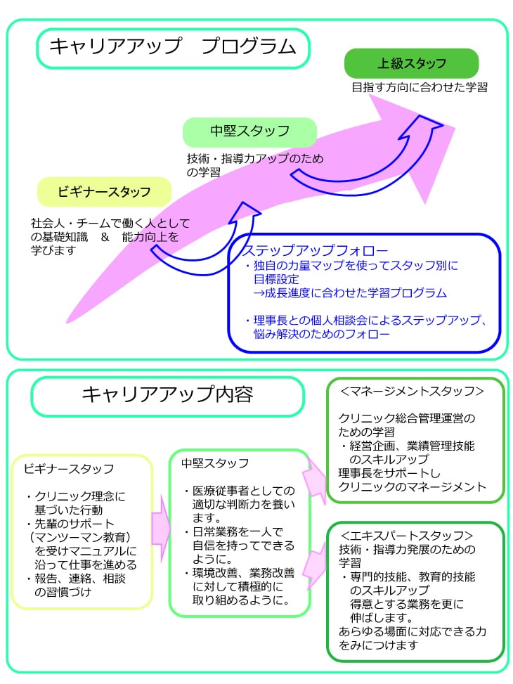 キャリアアッププログラム　ビギナー⇨中堅⇨上級
